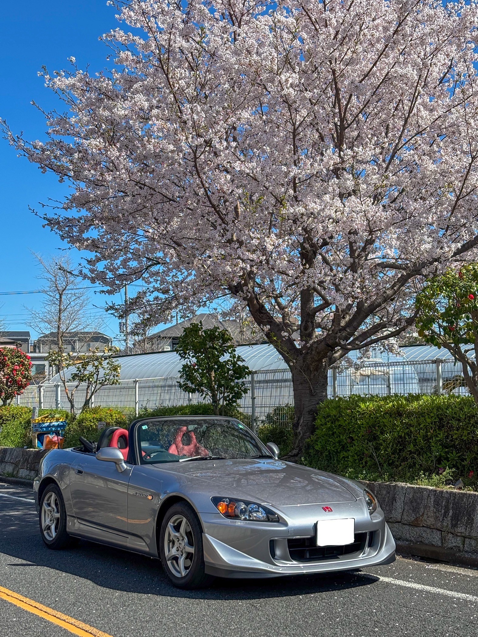 s2000ベーシックレザー張替え（本革張替え）